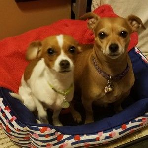 Meet your Posher, Kenneth